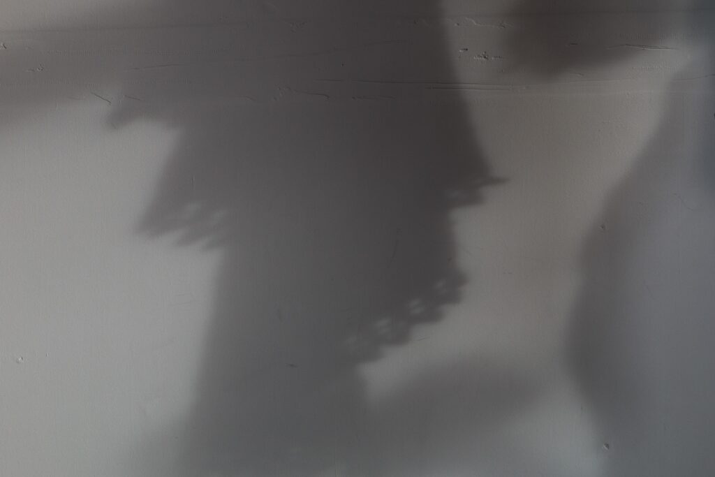 Shawl shadow of the 2026 mystery knitalong by Carol Feller